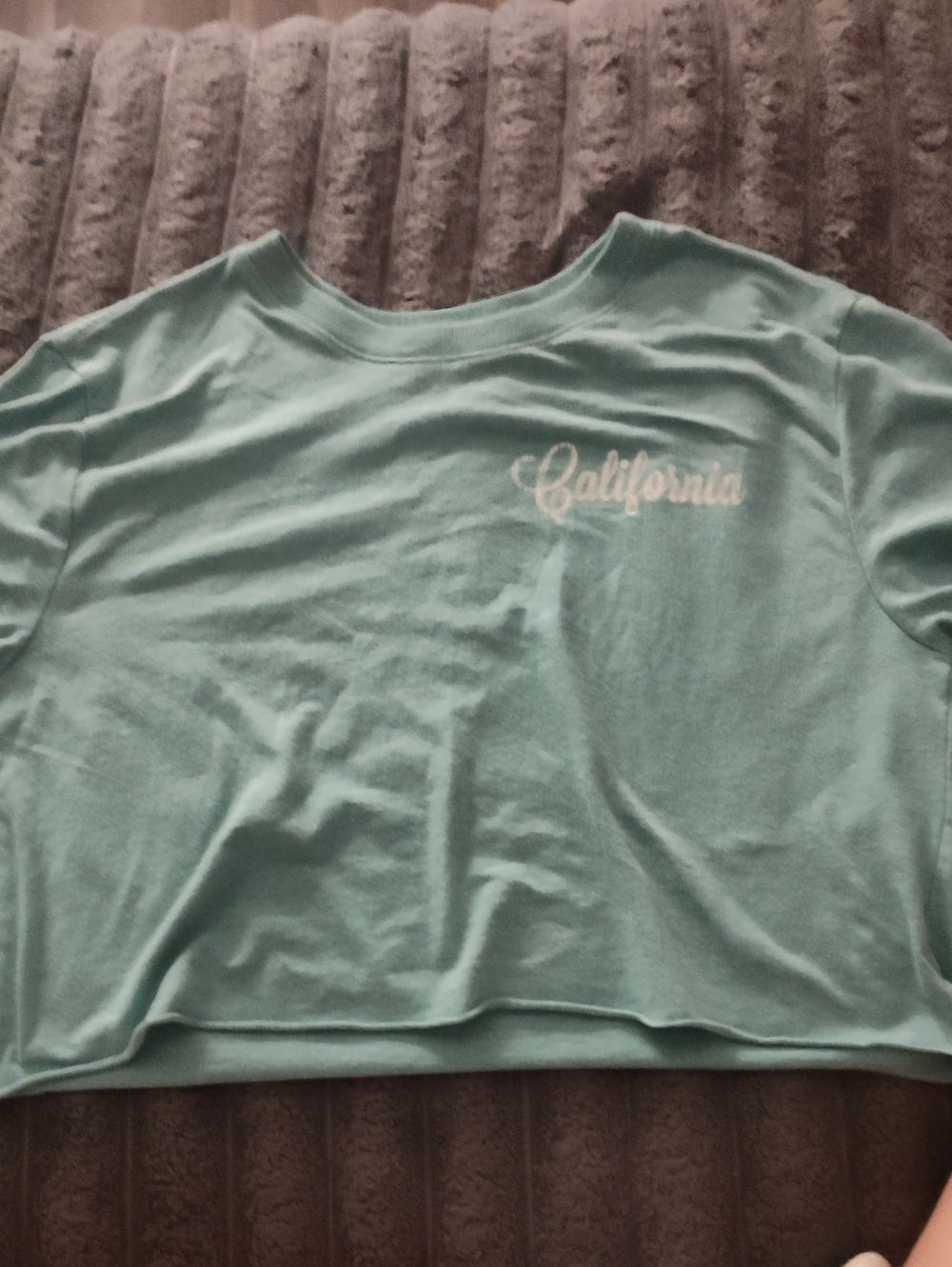 Rue21 Mint Green "California" Crop Top